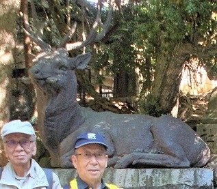 奈良市きたまち散策・大坂白鹿社神鹿像