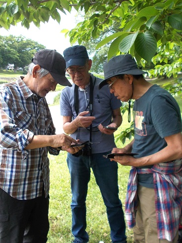 ���s���������ΐ_�ЁE���썶�݁E���H�E�X�}�z�A�v��