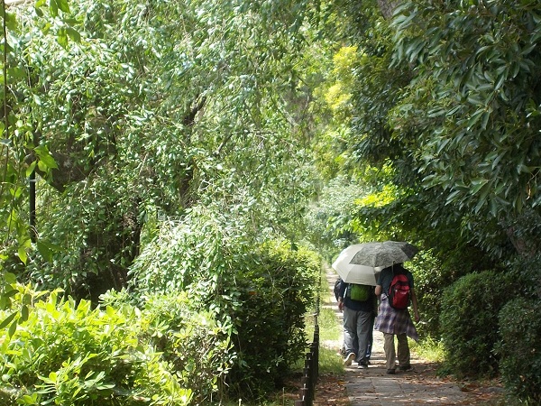 ���s���������ΐ_�ЁE���؂̓�