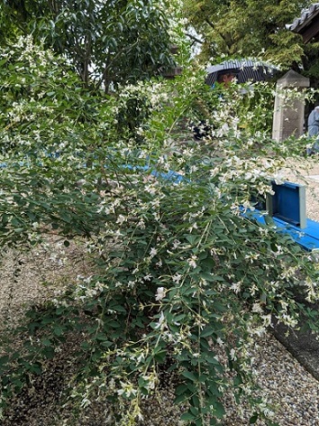 �Îs�E�������Õ��߂���E�������E����