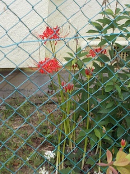 �Îs�E�������Õ��߂���E�ފ݉�