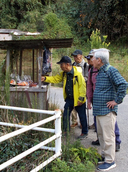 �R�̕ӂ̓��E���l�̔���