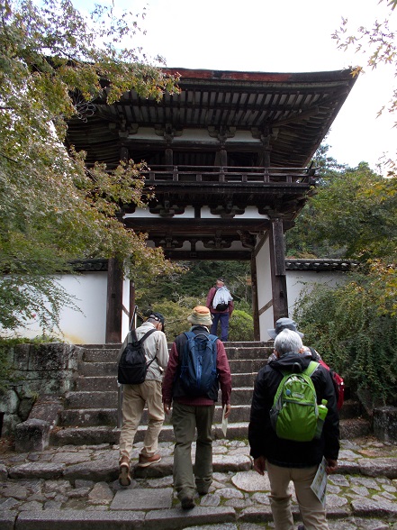 �R�̕ӂ̓��E���x���E���O��