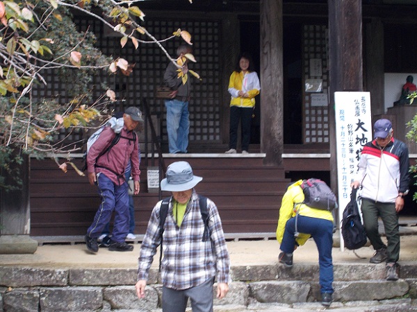 �R�̕ӂ̓��E���x���E�{��