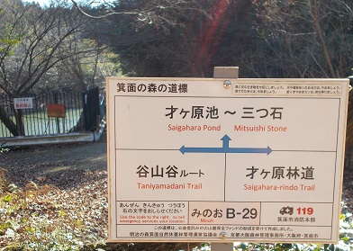 ���ʎR�[�n�C�L���O�E�a29