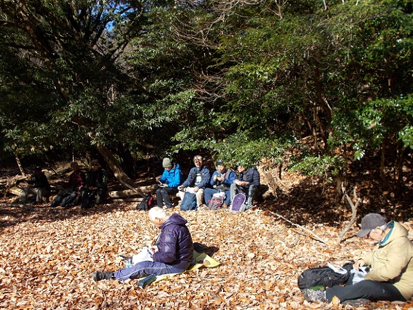 ���ʎR�[�n�C�L���O�E�a29�E���H