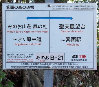 ���ʎR�[�n�C�L���O�E�a21