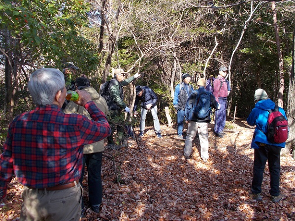 ���ʎR�[�n�C�L���O�E�a21