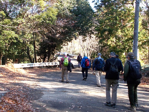 ���ʎR�[�n�C�L���O�E�a33