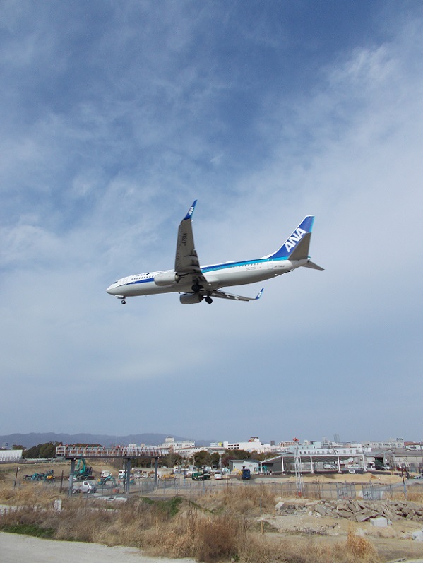 ����`�����P���E�L���΂������uma-zika�v