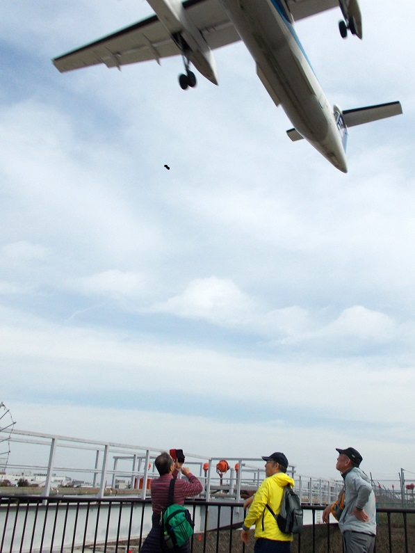 ����`�����P���E�痢��y��