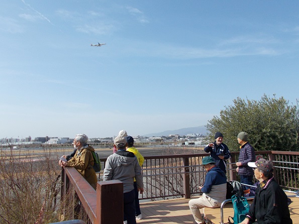 ����`�����P���E���͌��Βn�i�G�A�E�t�����g�E�I�A�V�X���͌��j�E�W�]�f�b�L