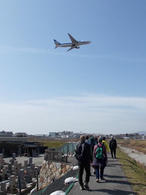 ����`�����P���E���ʐ�̍���