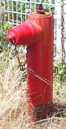 �L�ˎs���ΐ�