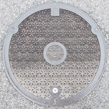 �P�H�s�����a