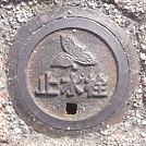 �������~����