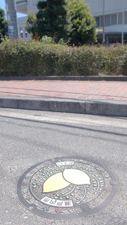 ���W�v���}���z�[��