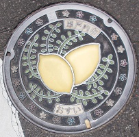 ���W�v���}���z�[��