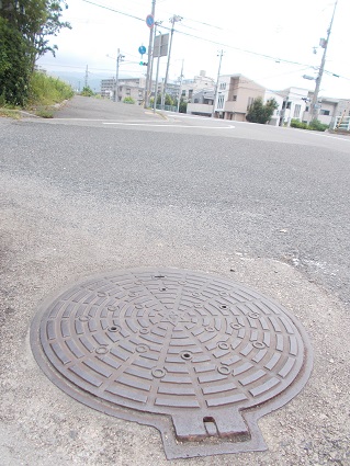 ���{�s�}���z�[��