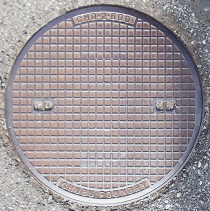 ���{�s�}���z�[��