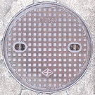 ���{�s�}���z�[��