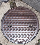 �ˑq���}���z�[��