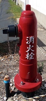 �ˑq�����ΐ�