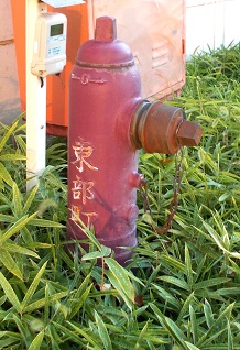 ���������ΐ�