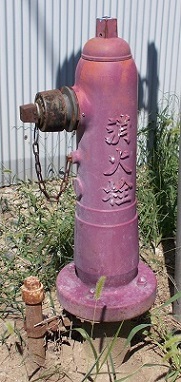 �L�쒬���̏��ΐ�