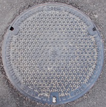 ���{�s�}���z�[��